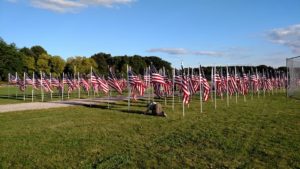 field-of-flags-1