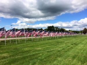 field-of-flags-2